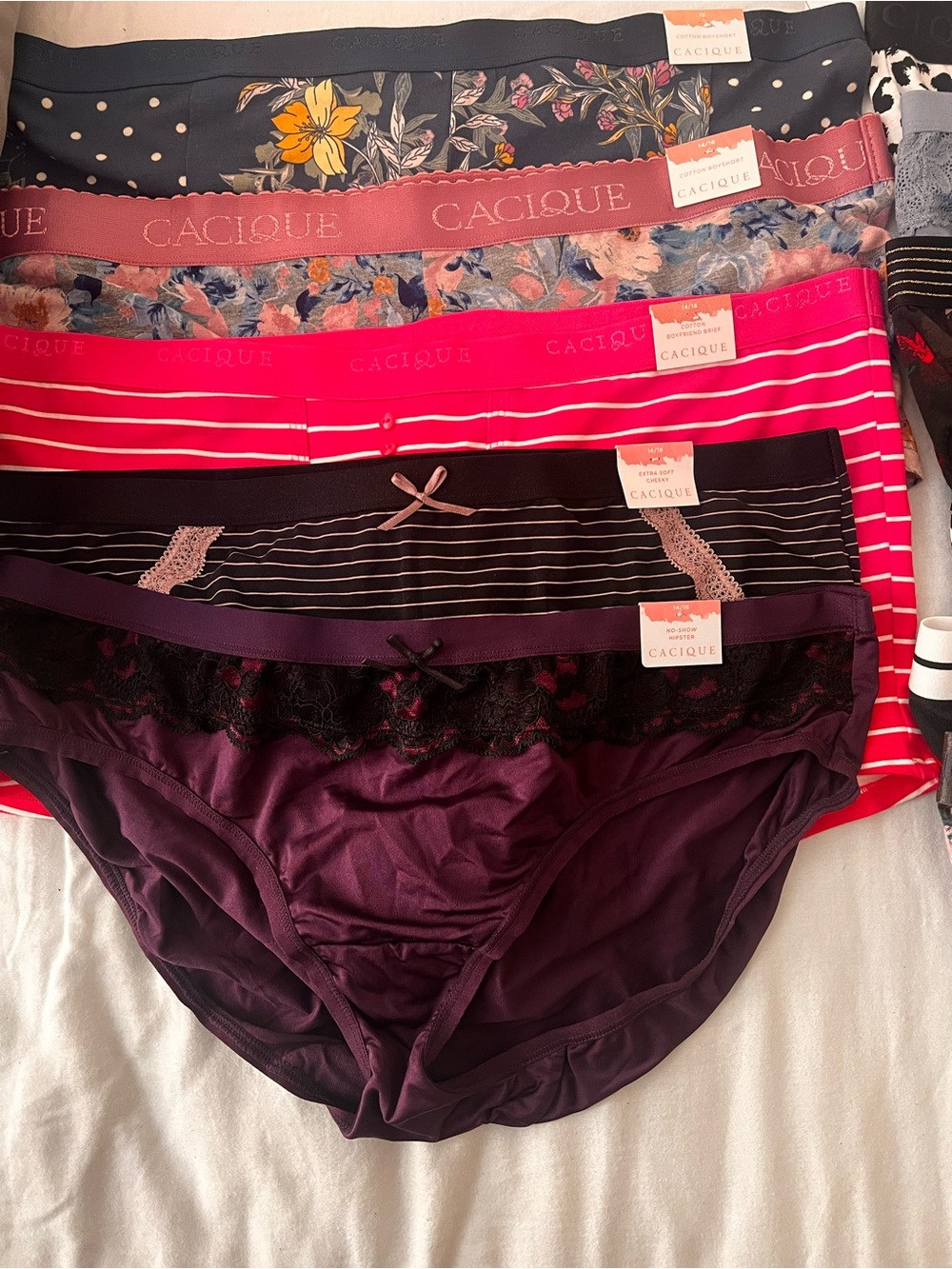 Cacique Assorted Women's Bikini Briefs - Plum, Pink, Black, Floral